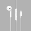 Apple Lightning  earphone
