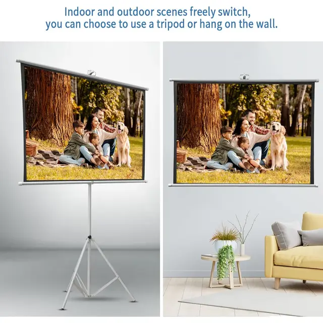 Home screen projector